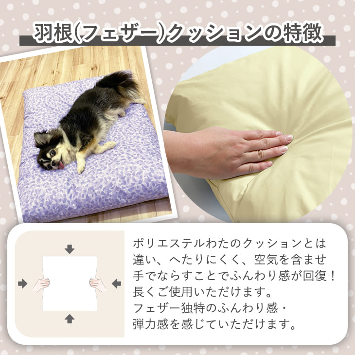 わんクッション 4