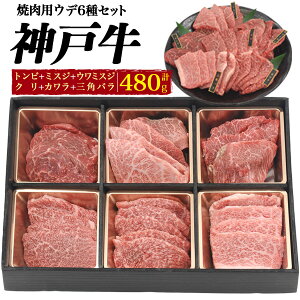 A5ランク神戸牛ウデカタ肉焼肉セット 1