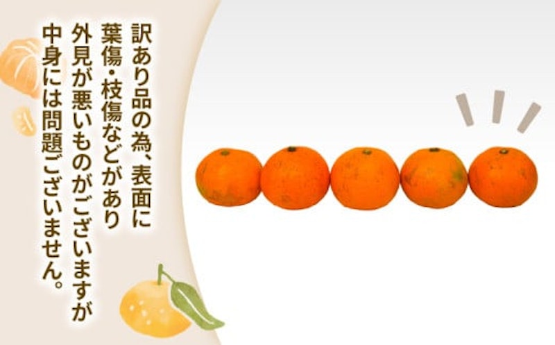 温州みかん 早生 2