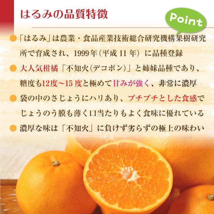 はるみ 3
