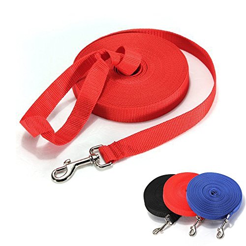 22年 犬用ロングリードのおすすめ人気ランキング11選 Mybest