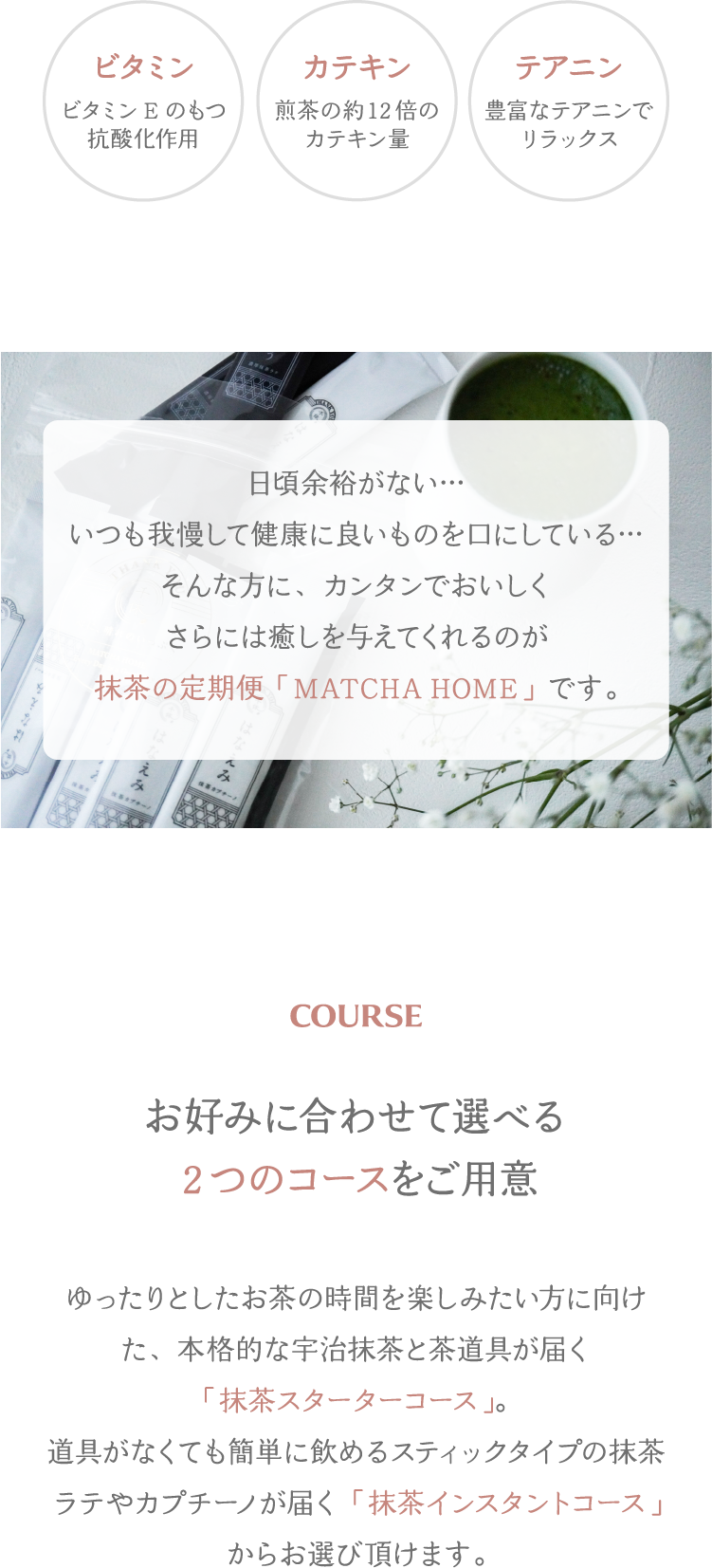 抹茶の定期便 5