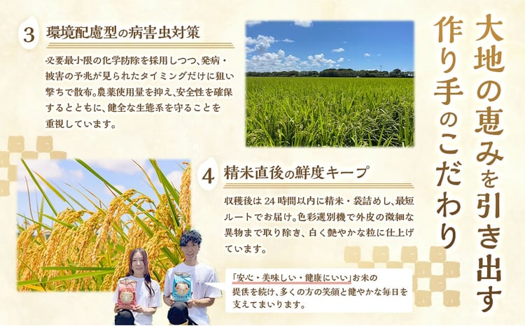 令和8年産 静岡県産 コシヒカリ 5kg 4