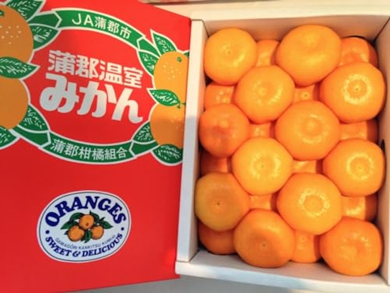 蒲郡温室みかんSサイズ2.5kg 1
