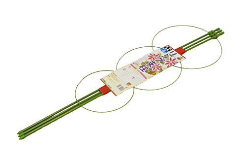 リング支柱 1