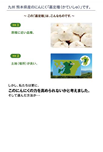 ミルク牡蠣サプリメント にんにく強化 5
