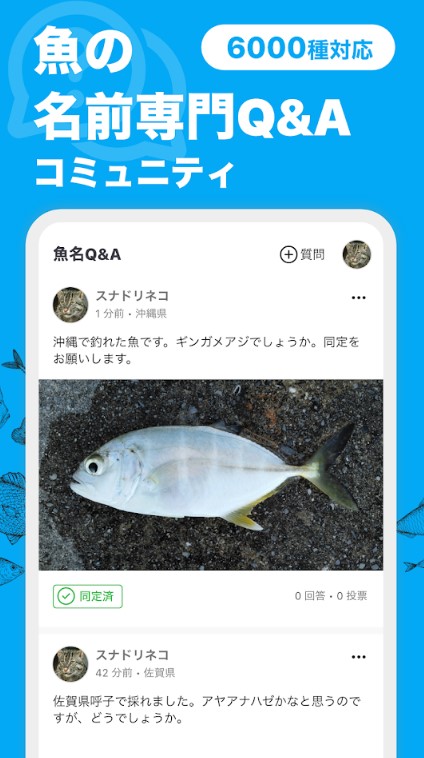 魚みっけ 3