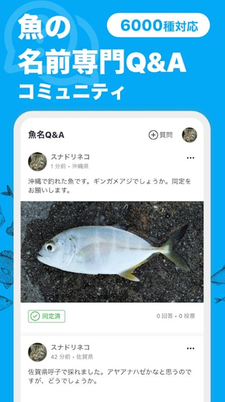 魚みっけ 3