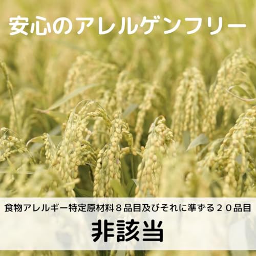 FOREST-ONE ライスプロテイン riceprotein 3