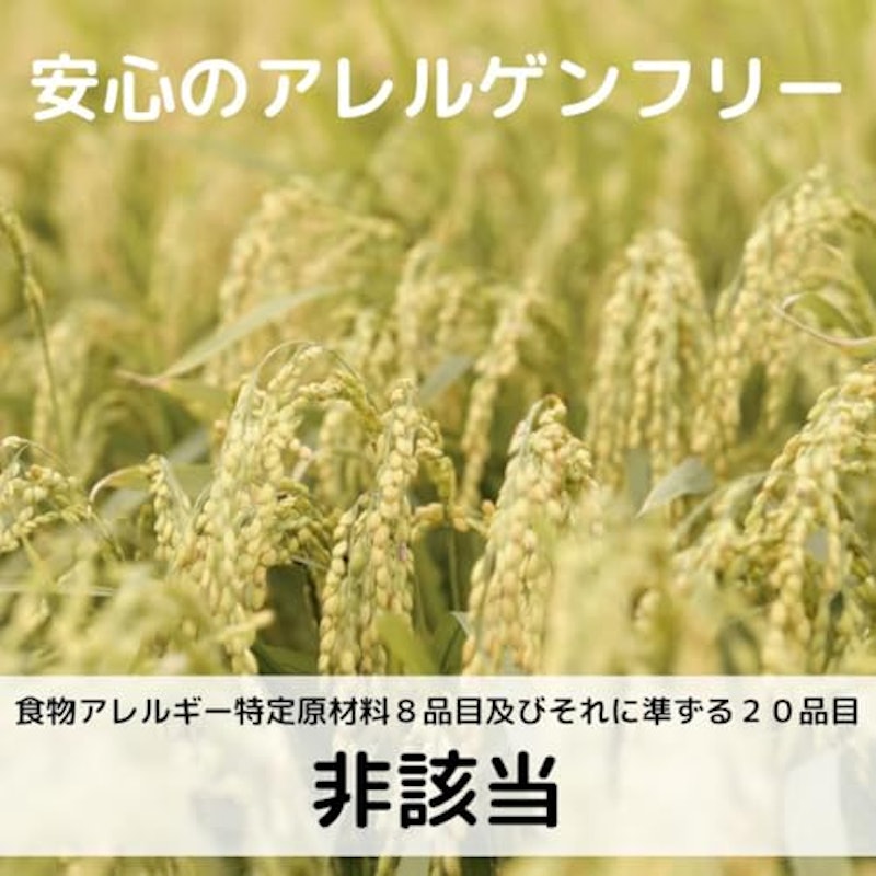 FOREST-ONE ライスプロテイン riceprotein 3