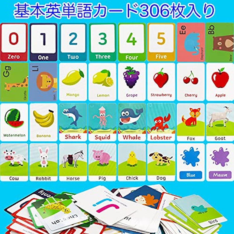 フラッシュカード 英単語 12種セット 2
