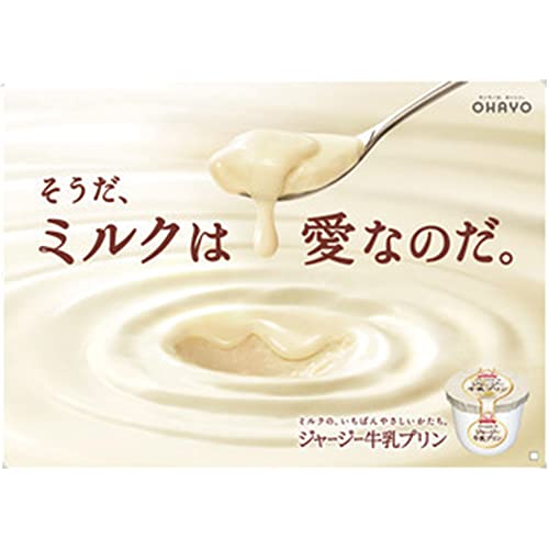 ジャージー牛乳プリン 3