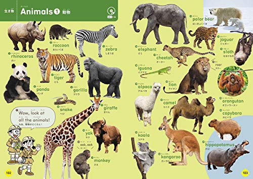 22年 英語を学べる子ども図鑑のおすすめ人気ランキング40選 Mybest