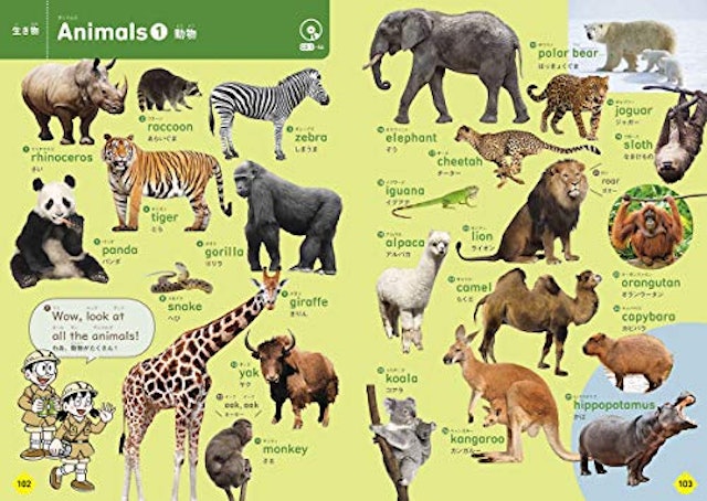 22年 英語を学べる子ども図鑑のおすすめ人気ランキング40選 Mybest 22年 英語を学べる子ども図鑑のおすすめ人気ランキング40選 Mybest