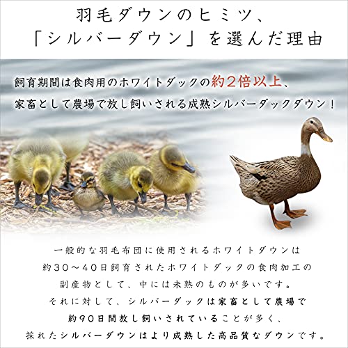 2枚合わせ羽毛布団 4