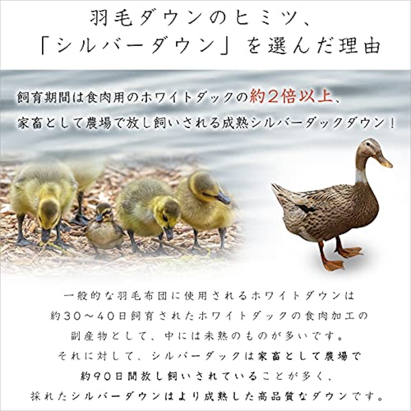2枚合わせ羽毛布団 4