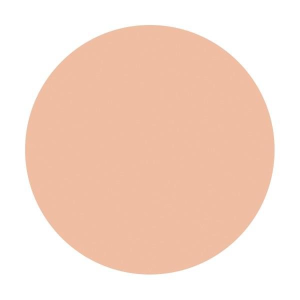 薬用スキンケアファンデーション（パウダリー） 4