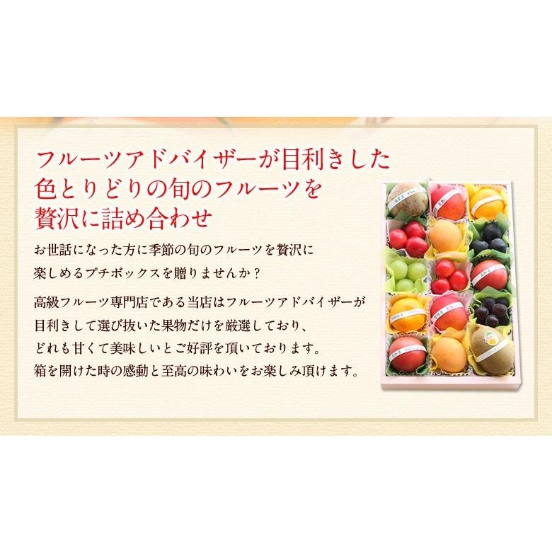 プチボックス フルーツギフト 2