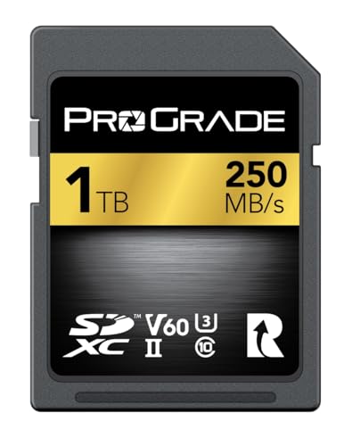 SDXC UHS-II V60  1