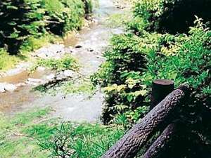 龍神温泉 上御殿 6