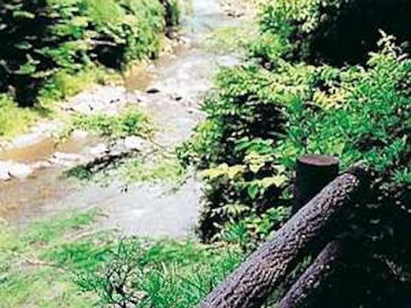 龍神温泉 上御殿 6