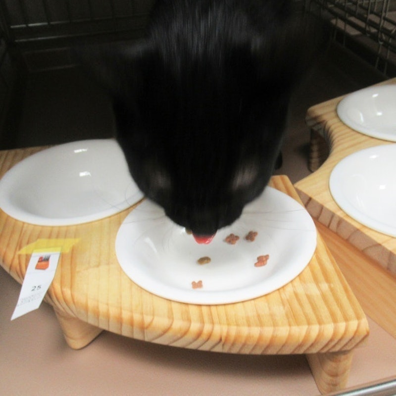 ねこ福 39大入り袋 シーフード仕立て 7