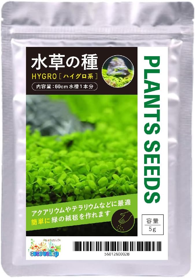 水草の種 1