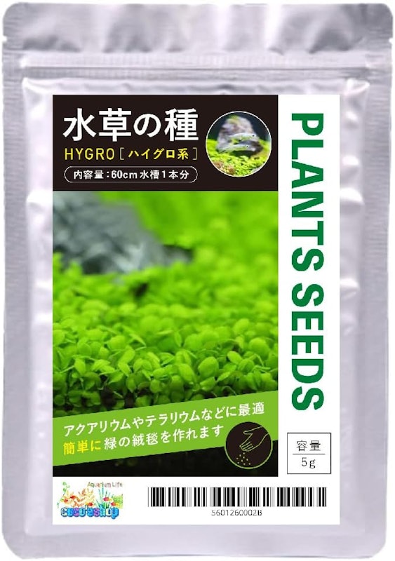 水草の種 1
