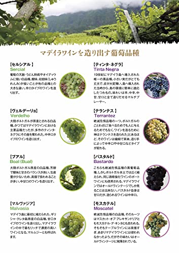 マデイラ 白品種10年ミニボトル4種セット 2