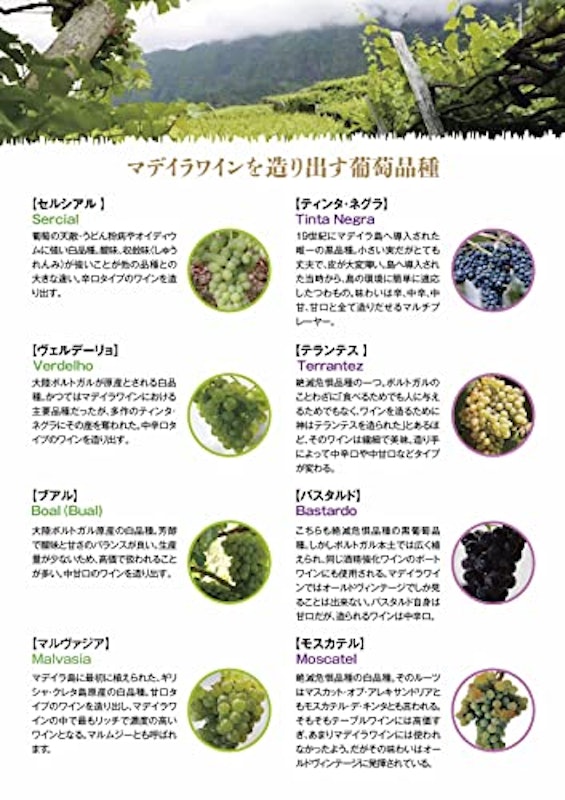 マデイラ 白品種10年ミニボトル4種セット 2