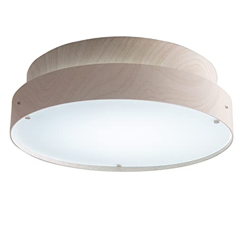 LEDシーリングライトTimo 1