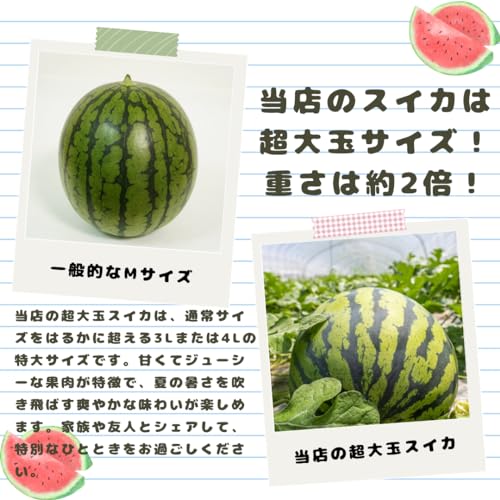 特大すいか 2