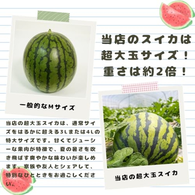 特大すいか 2