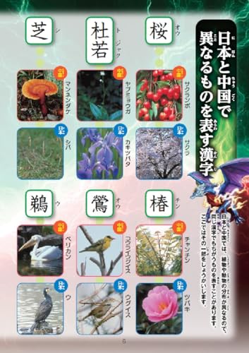 新レインボー小学漢字辞典 改訂第6版新装版 小型版 最強王図鑑エディション 7