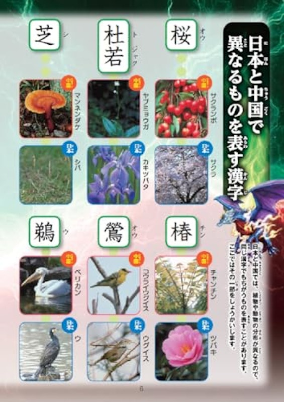 新レインボー小学漢字辞典 改訂第6版新装版 小型版 最強王図鑑エディション 7