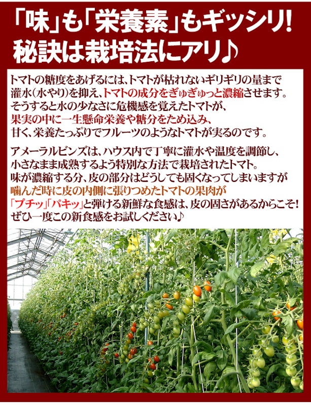 アメーラルビンズ 4