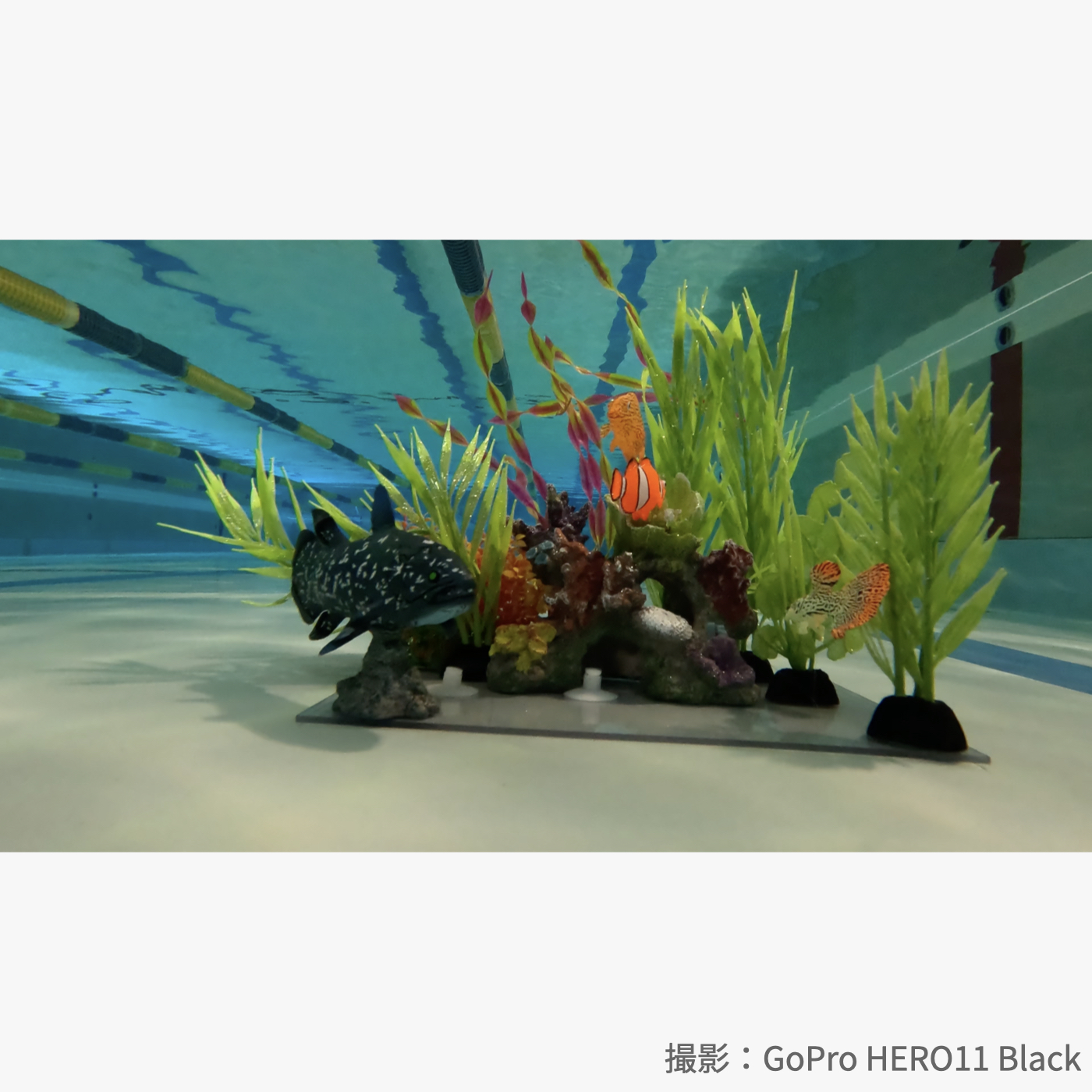 HERO11 Black 6