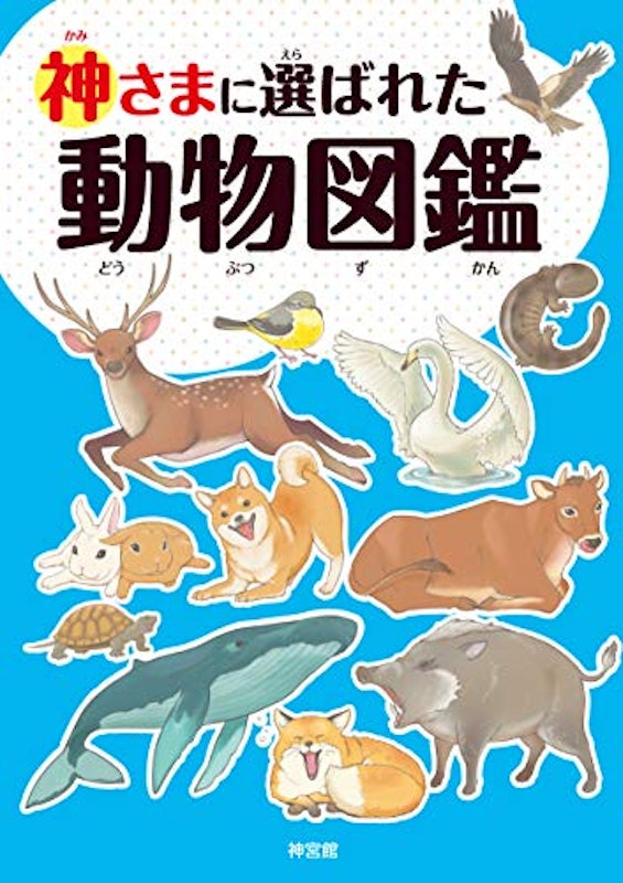 神さまに選ばれた動物図鑑 1
