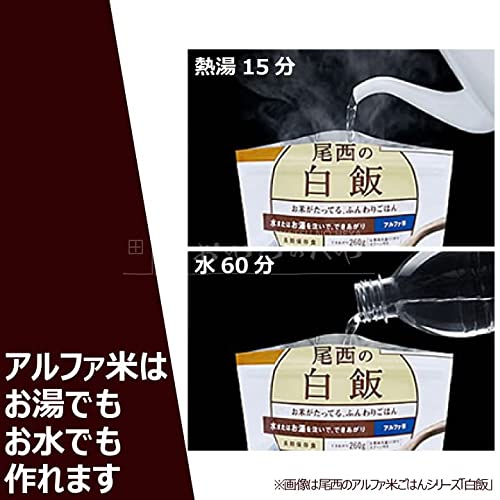 CoCo壱番屋監修 尾西のマイルドカレーライスセット 3