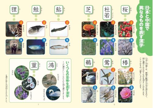 新レインボー小学漢字辞典 改訂第6版 ワイド版 6