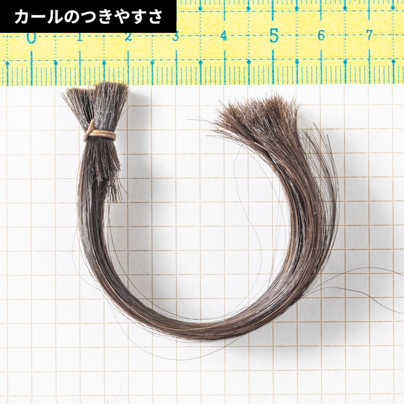 サロンセンス 300 6