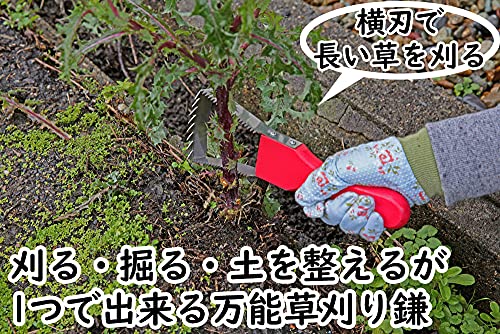 ラク〜に草取り 2