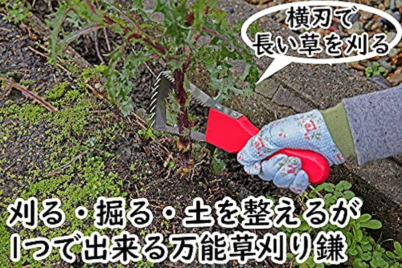ラク〜に草取り 2