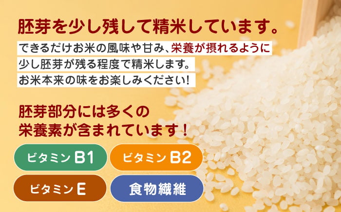 森のくまさん 無洗米 定期便 4