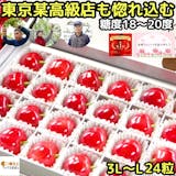 母の日向けさくらんぼのおすすめ人気ランキング【2026年4月】 4