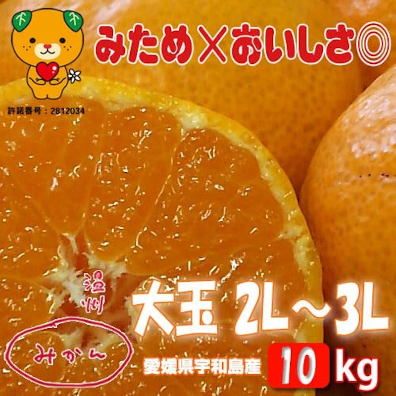 愛媛みかん 大玉みかん・訳あり 1
