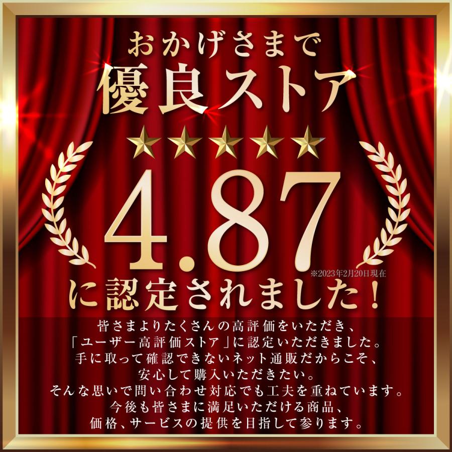 骨盤ベルト 骨盤ラクーダ 2