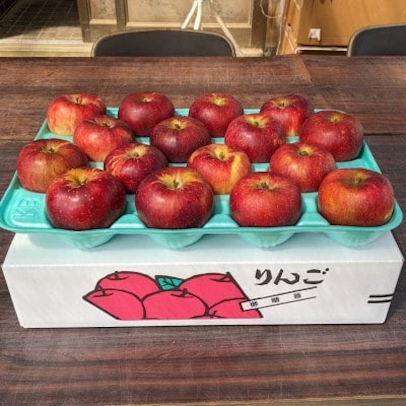 丘の上ファーム 完熟りんご サンふじ訳あり 3