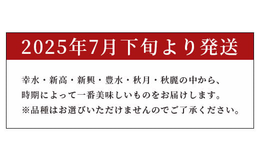 熊本県産 梨 5