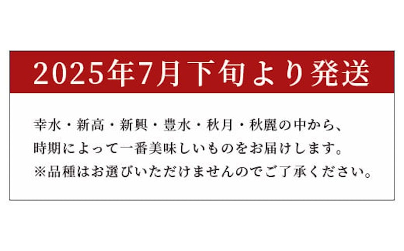 熊本県産 梨 5